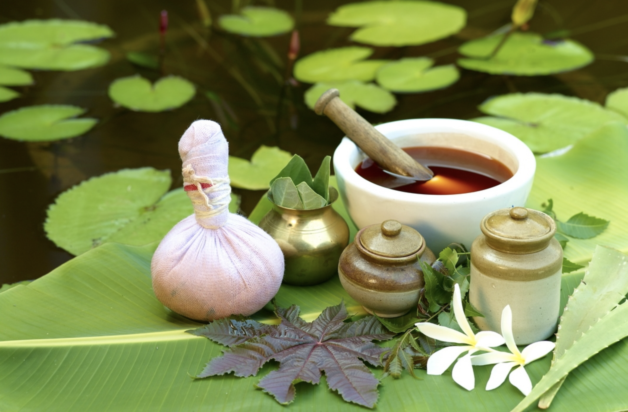 Vayasthapana Gana in menopausal syndrome: Ayurvedic rejuvenation for hormonal and systemic balance